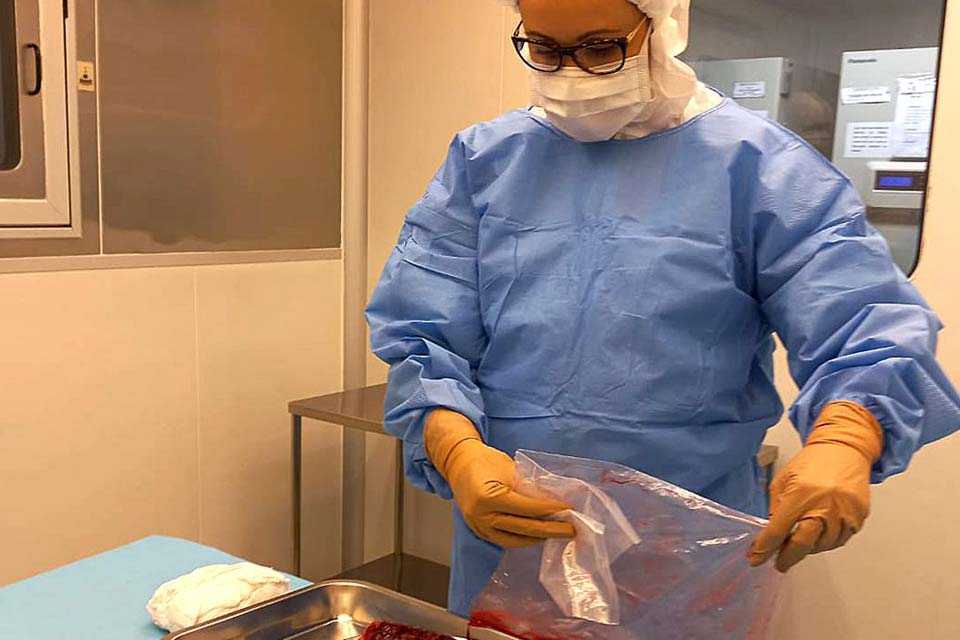 Pesquisa desenvolve curativos biológicos à base de placenta