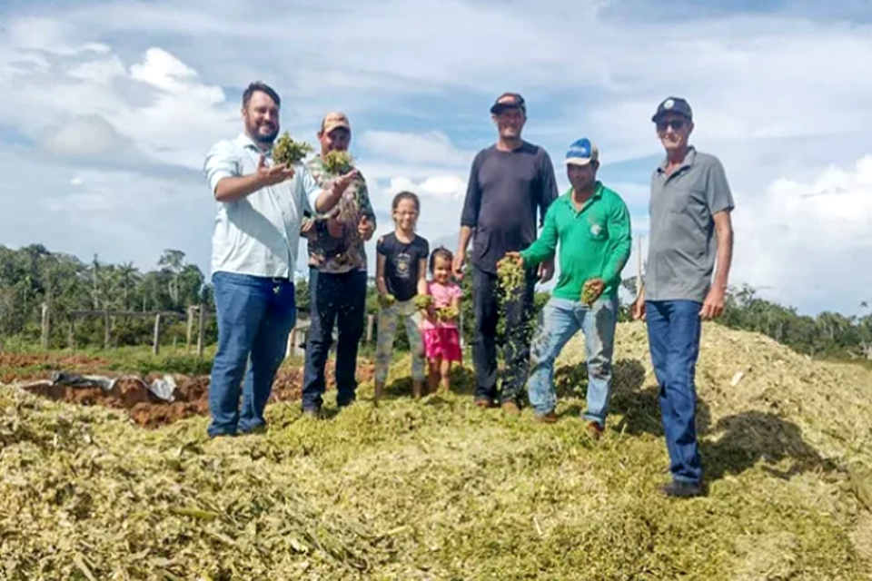 Prefeitura de Cabixi auxilia pequenos agricultores na produção de silagem de milho