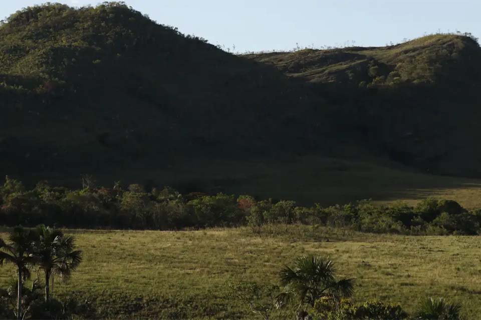 Territórios quilombolas são as áreas menos desmatadas do país