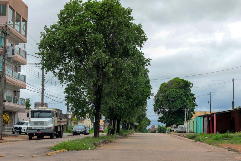 Prefeitura realiza poda de árvores e emite liberações à população em Porto Velho