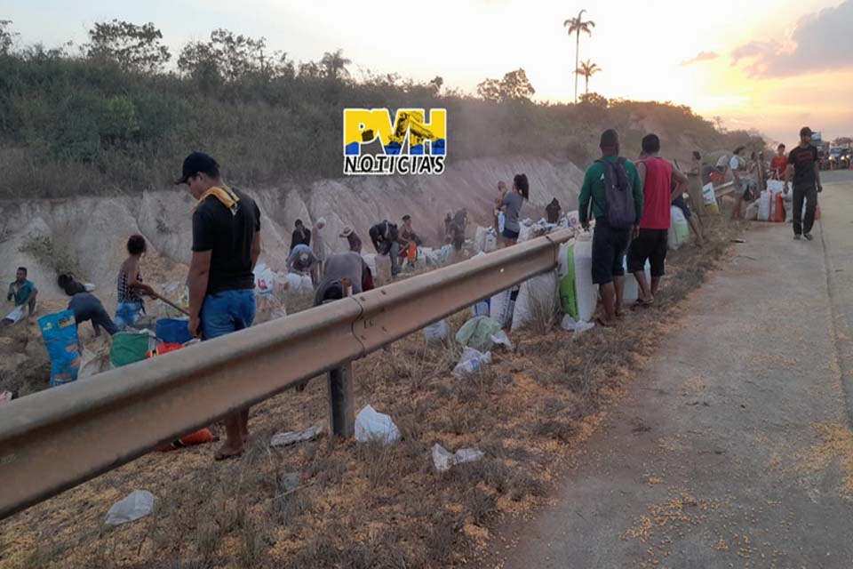 Carreta tomba na BR-319 e populaçâo saqueia carga de milho