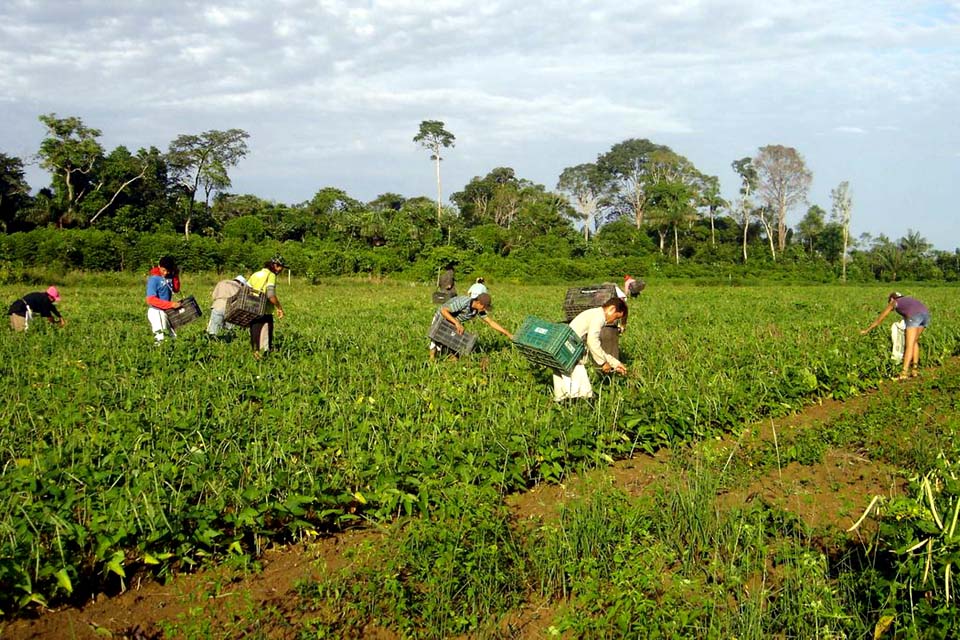 PAA: agricultores contam como melhoraram a renda e combateram a fome