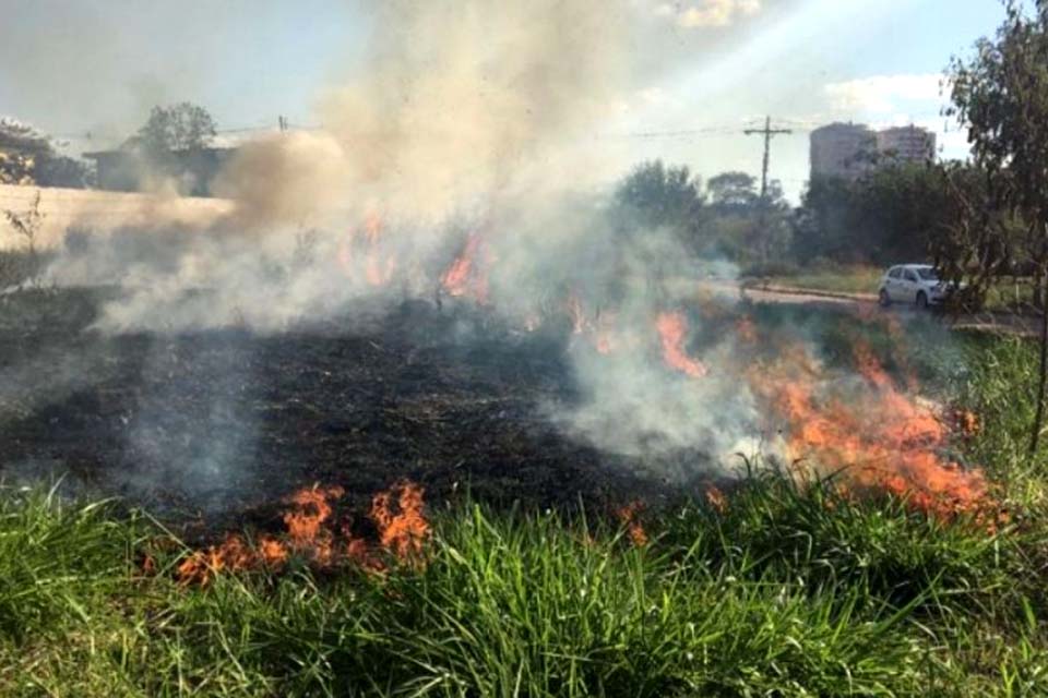 População do município poderá denunciar queimadas por aplicativo