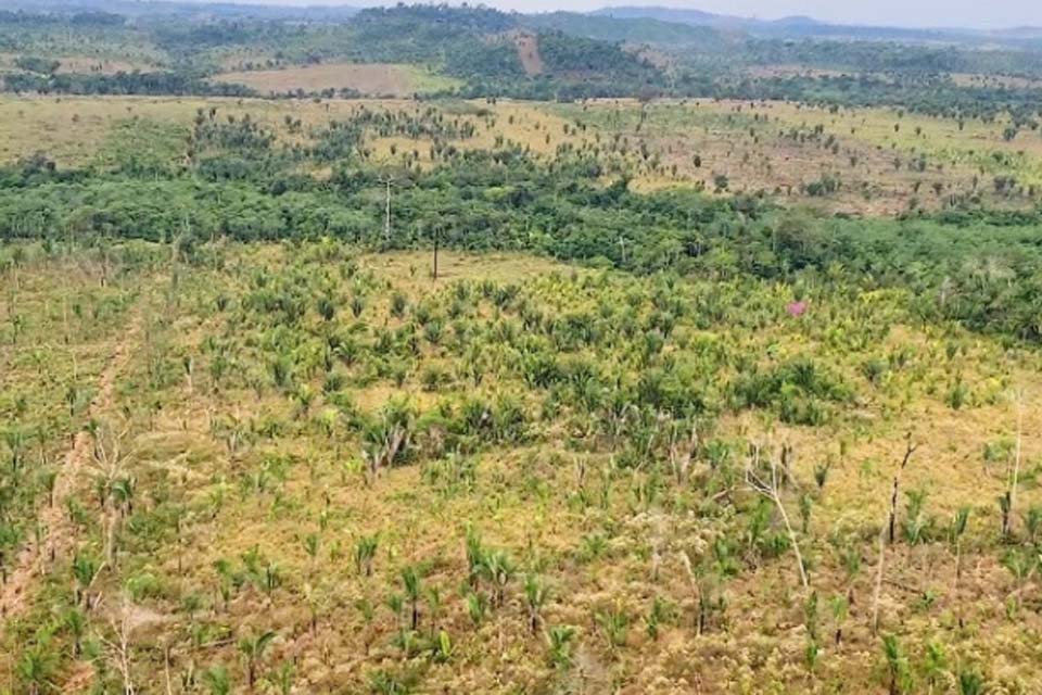 Ministério Público obtém reconhecimento da ilegalidade de associações de produtores rurais em Nova Mamoré e Guajará-Mirim