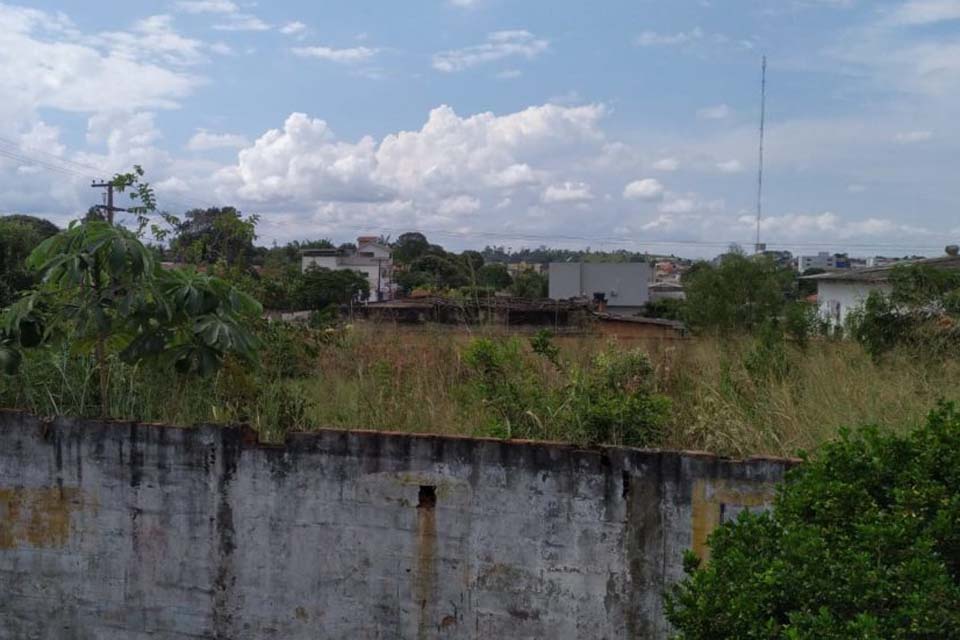 Animais peçonhentos aparecem na escola Abraão Rocha devido matagal em terreno baldio