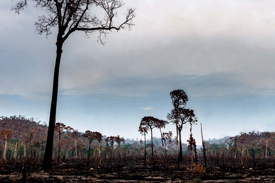 MPF cobra do Incra cumprimento de termo de compromisso para redução do desmatamento na Amazônia