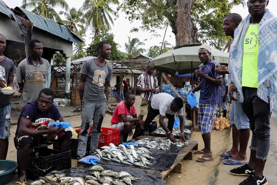 Moçambique regista novo recorde de 32 mortes e mais 1.704 infetados