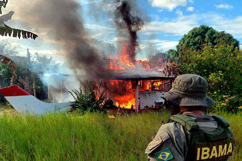 Supremo Tribunal Federal rejeita lei de Roraima que proíbe destruição de bens apreendidos