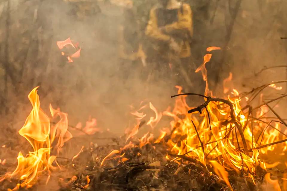 Defesa Civil diz que ação humana causou 99,9% dos incêndios em SP