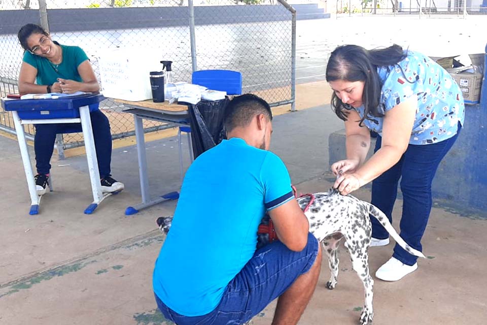 Mais de 300 animais foram imunizados durante vacinação itinerante em Jaci-Paraná