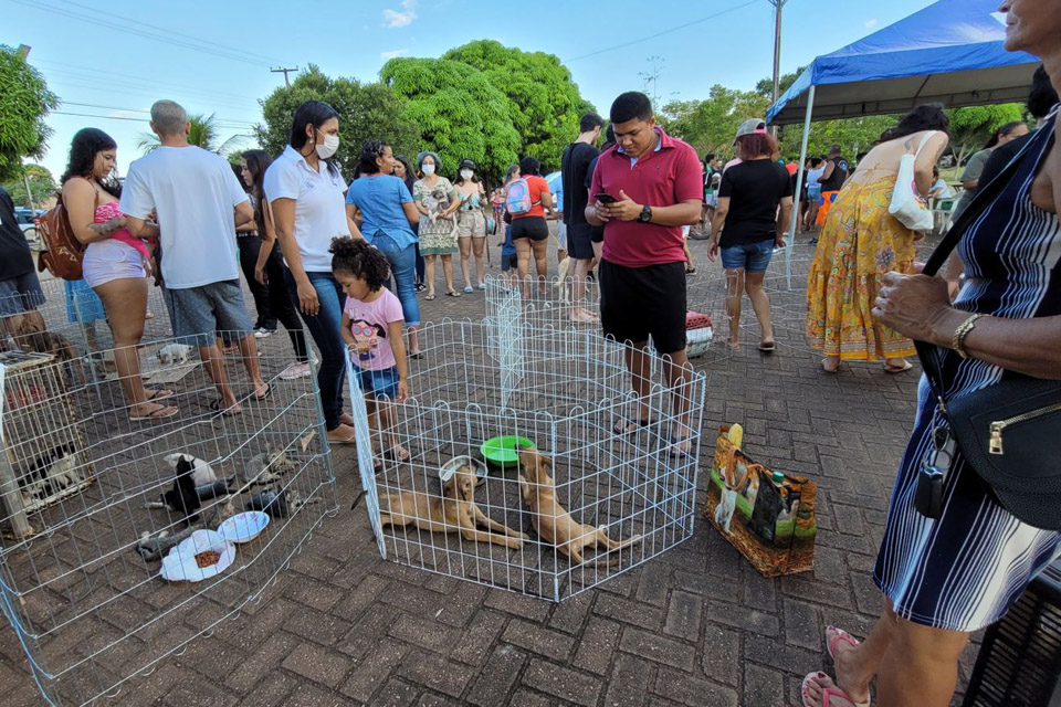 Feira de Adoção Responsável de Cães e Gatos é adiada para 26 de novembro