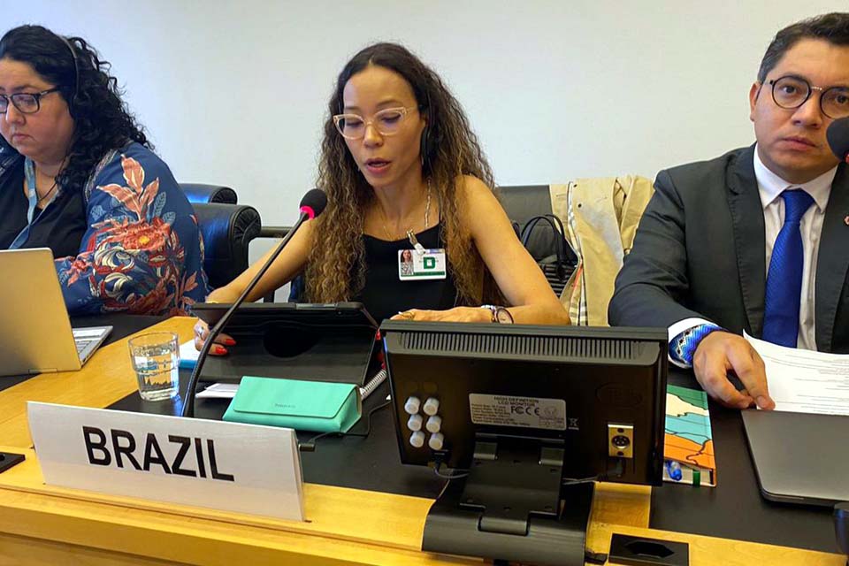 Brasil participa da 138ª Sessão do Comitê de Direitos Humanos da ONU