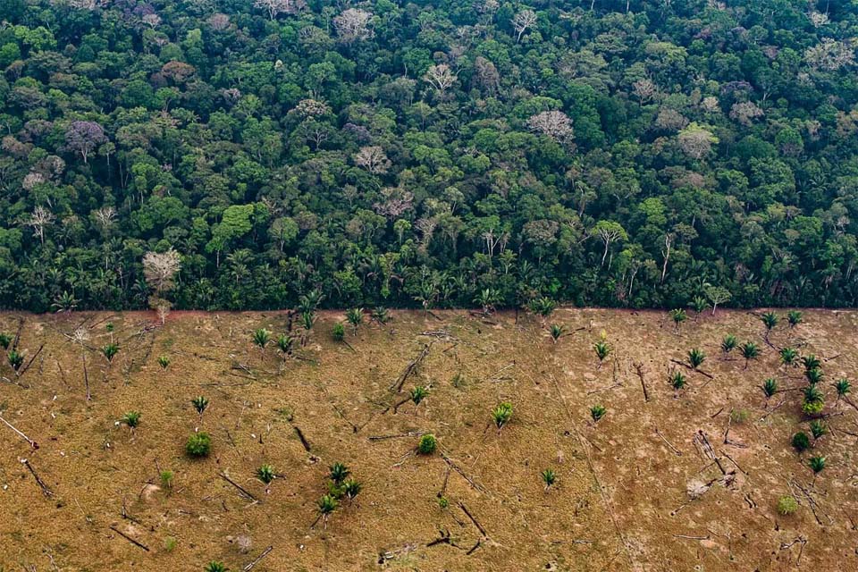 Saiu no Amazônia Real: ‘‘Funai e Incra reconhecem PAD Burareiro, em Rondônia, como Terra Indígena’’