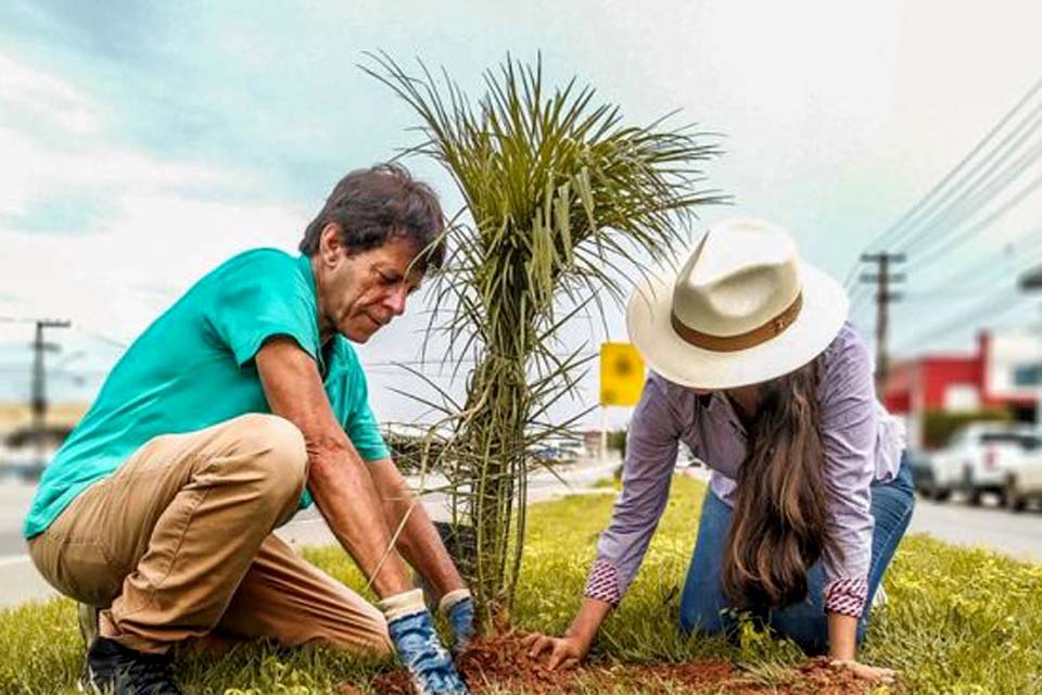 Canteiros da BR-364 no município recebem plantação de palmeira e ipê