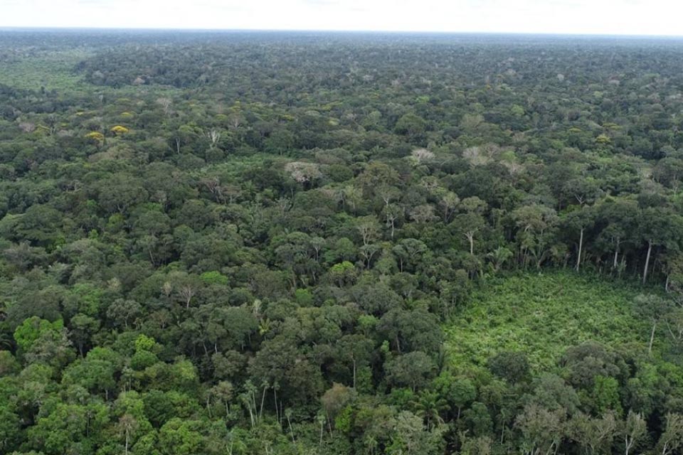 MP requer inconstitucionalidade de lei que alterou sistema de governança climática