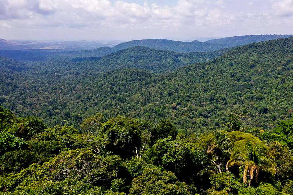 Governo cria Cédula de Produto Rural Verde