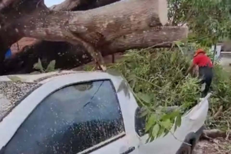 Chuva com ventania causa prejuízos consideráveis em diversos locais de Rolim de Moura