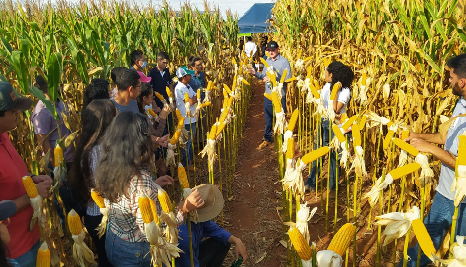 Acadêmicos de Engenharia Agronômica do Campus Colorado do Oeste participam de vitrine tecnológica em zona rural de Cerejeiras