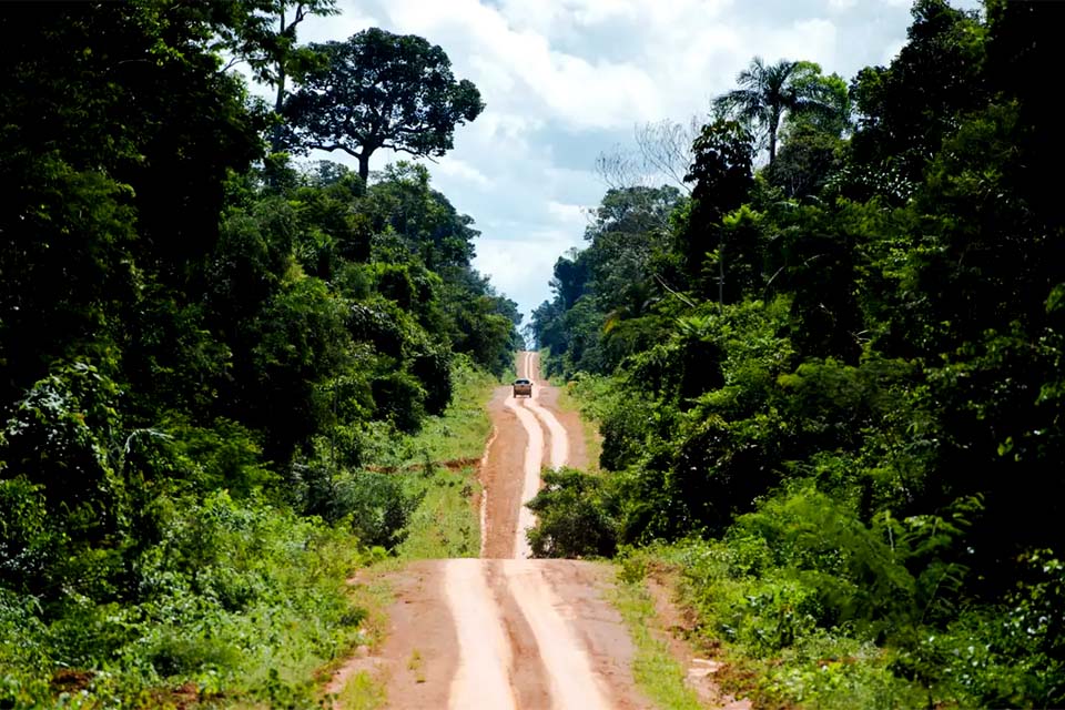 Amazônia: degradação afeta área três vezes maior que desmatamento