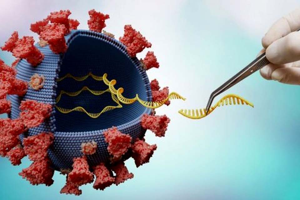 Covid: o que se sabe sobre nova variante detectada na África do Sul