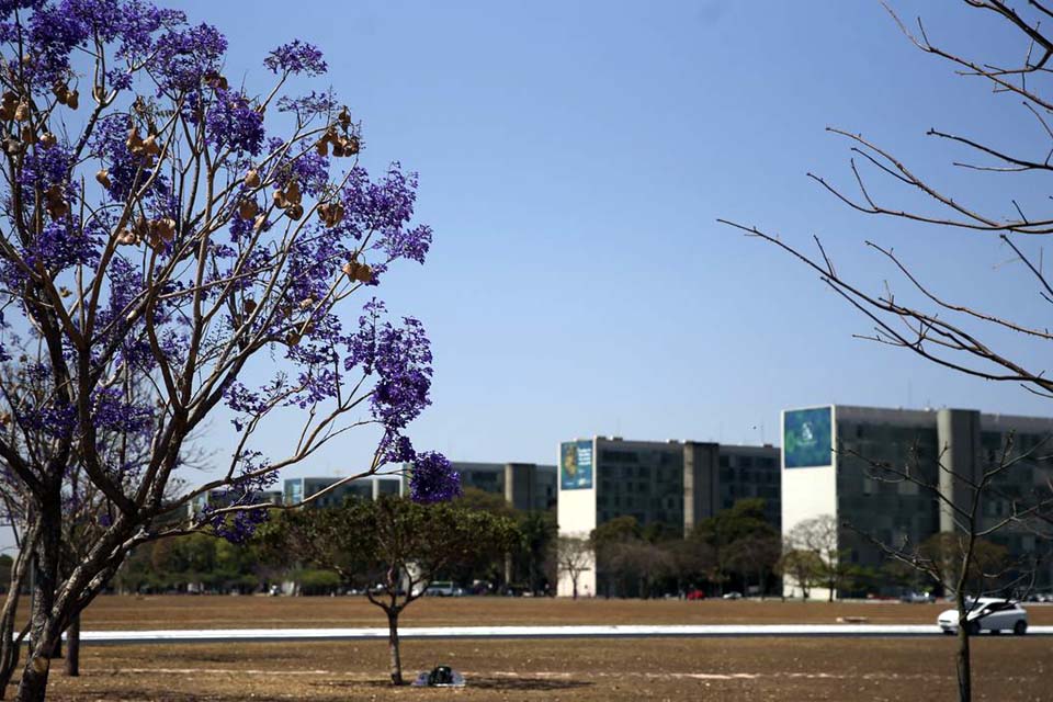 Participação feminina em cargos no governo federal mostra estagnação