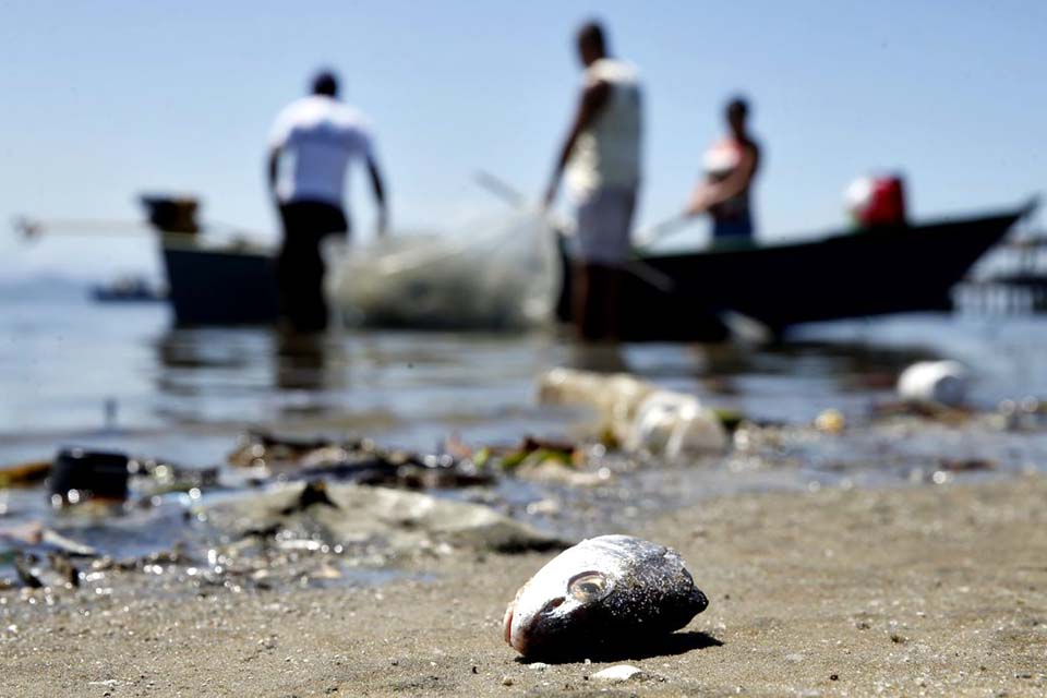 Mais de 12 mil licenças de pescadores profissionais são suspensas