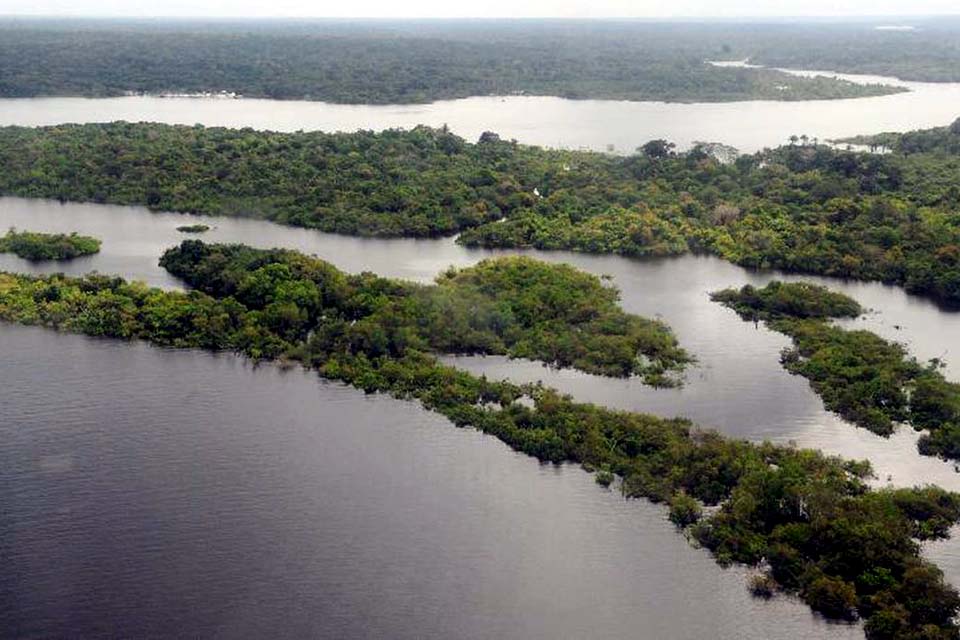 Brasileiro tem sentimento de vulnerabilidade ecológica e climática