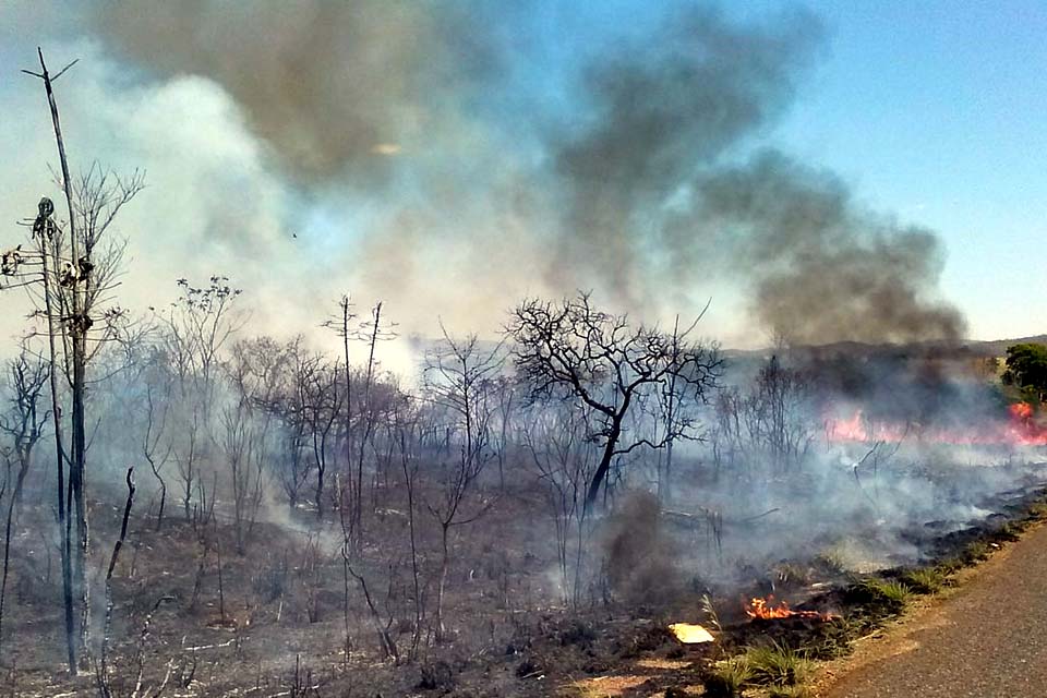 Mato Grosso intensifica ações contra crimes ambientais