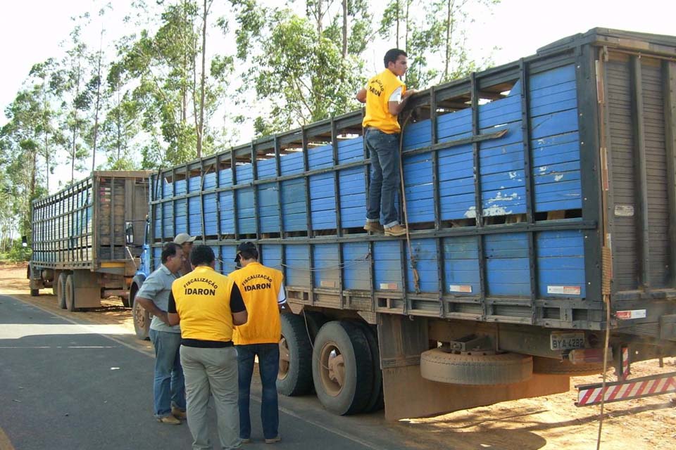 A partir de maio, Mapa regulamenta o não ingresso de animais vacinados contra a Febre Aftosa em Rondônia