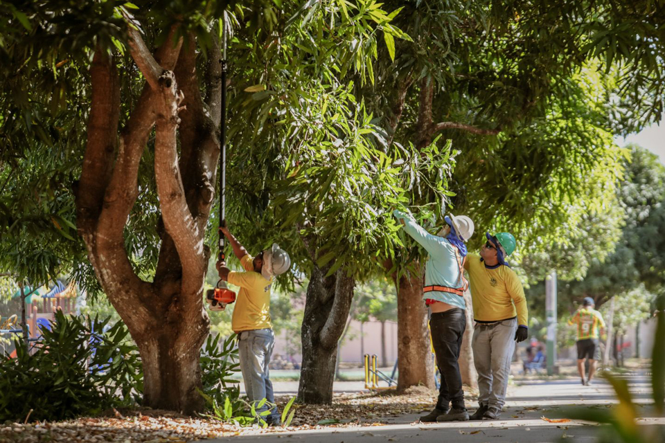 Parque Jardim das Mangueiras recebe mutirão de limpeza e poda de árvores