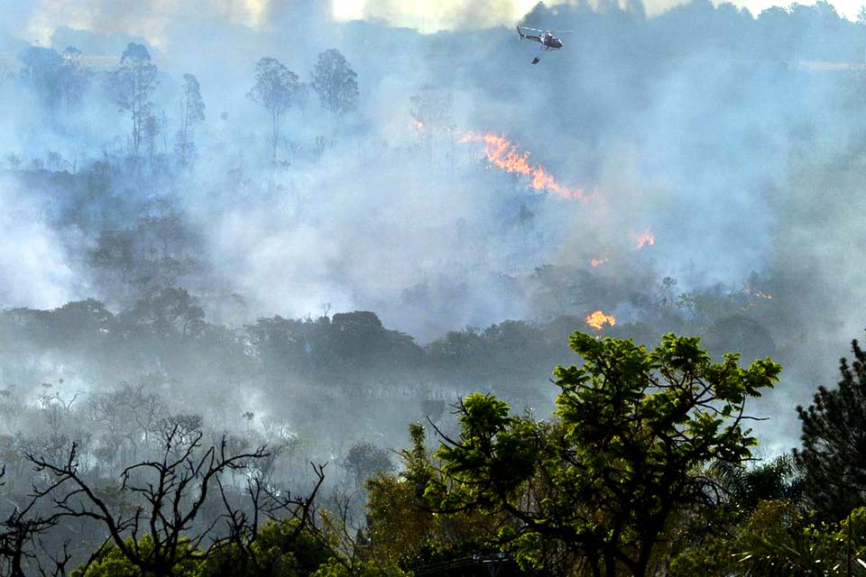 Decreto suspende queimadas em todo território nacional