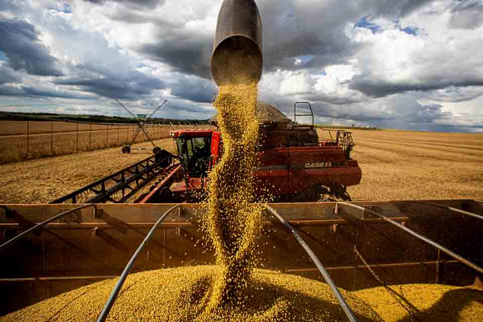 Agronegócio tem superávit de US$ 7,7 bilhões em janeiro deste ano