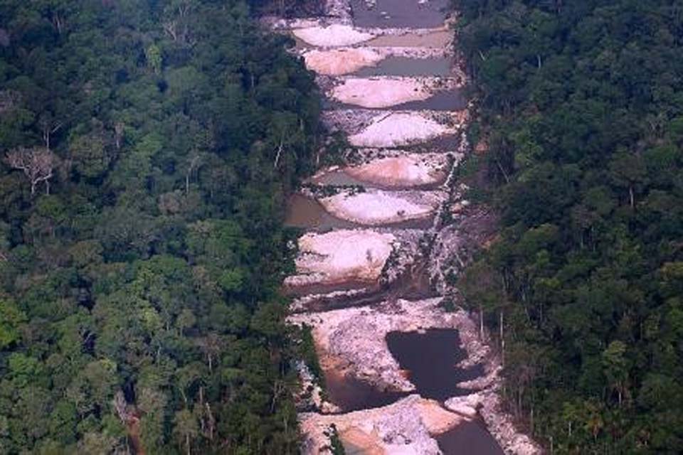 ‘‘Monitor do Mercado’’ aponta nova ligação da JBS, Marfrig e Minerva a desmatamento massivo; Rondônia é alvo