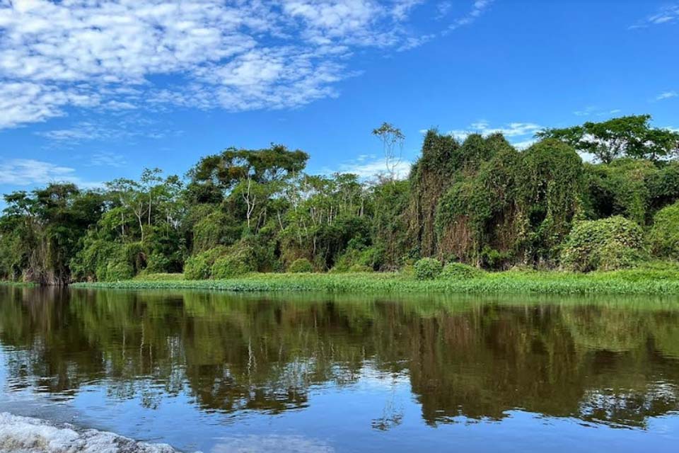 No Dia da Amazônia, Energisa reitera seu compromisso com a preservação do meio ambiente