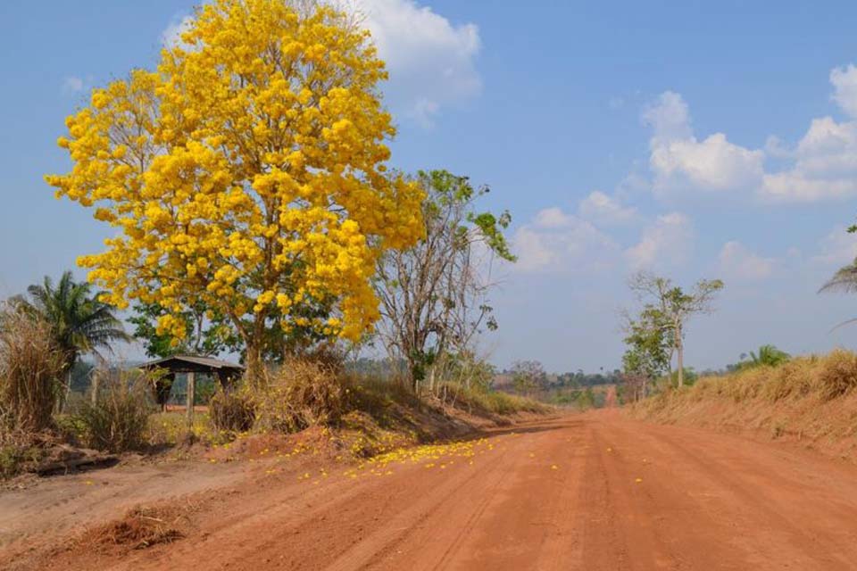 Município localizado na região da zona da Mata de Rondônia completa 27 anos se sustentando na economia agropecuária