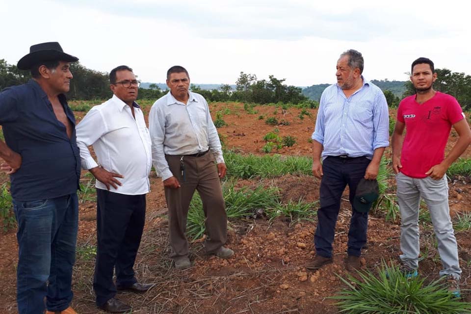 Comunidade Morrinho recebe projeto de cultivo de mandioca