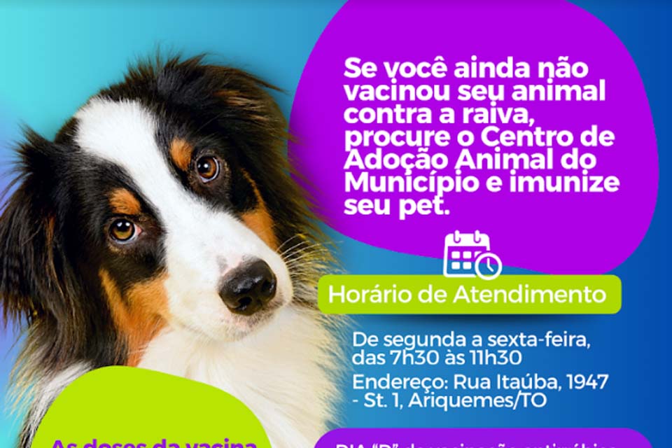 Centro de Adoção de animais de Ariquemes oferta vacinação antirrábica