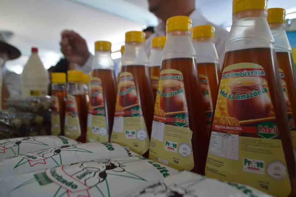 Rondônia ocupa a 8ª posição no ranking nacional de produção de mel de abelha