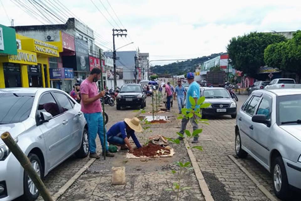 Prefeitura dá início ao projeto de arborização urbana; serão plantadas 15 mil mudas de ipês