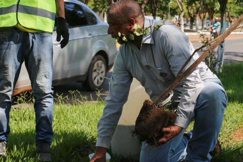 Primeira Conferência Intermunicipal do Meio Ambiente e Mudanças do Clima será realizada em Vilhena