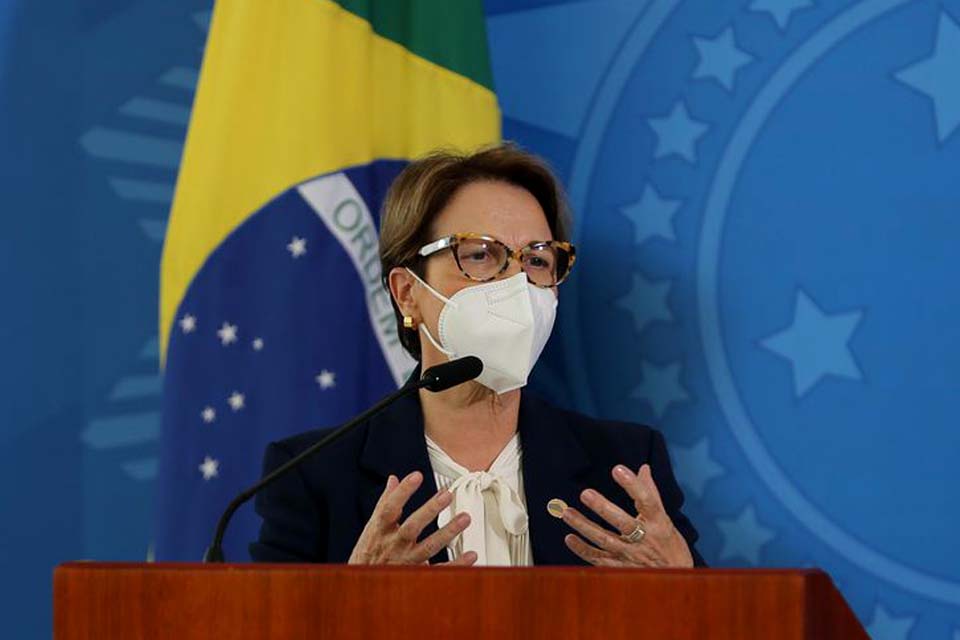 Governo quer ampliar produção nacional de fertilizantes 