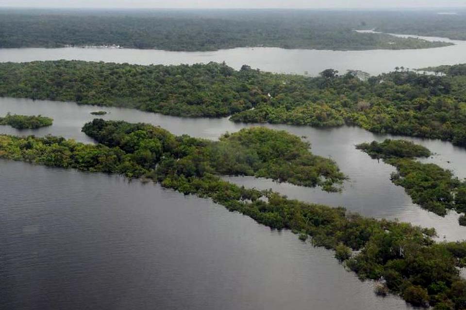 Dia da Amazônia: mulheres agricultoras falam sobre preservação