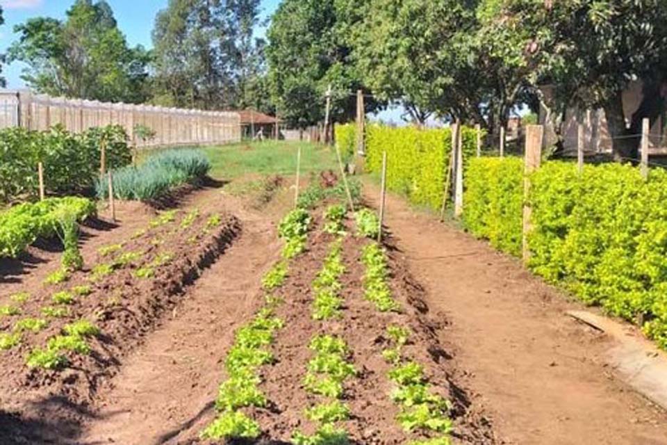 Projeto de Horticultura e Ressocialização é financiado com recursos de penas pecuniárias  