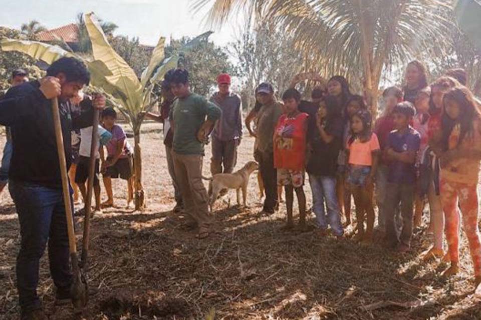 Capacitação impulsiona produção sustentáveis nas comunidades indígenas de Rondônia