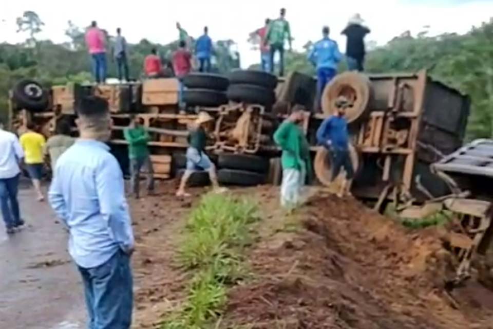 Carreta boiadeira tomba na RO 391 deixando animais feridos e mortos