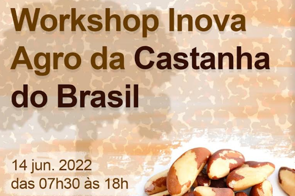 Cadeia produtiva da castanha é tema de workshop promovido pelo Sebrae e parceiros