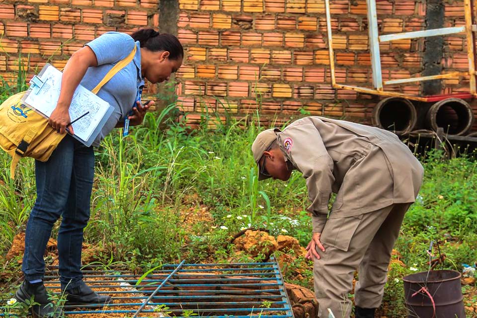 Descarte correto do lixo é fundamental para que recipientes não se tornem criadouros do aedes aegypti