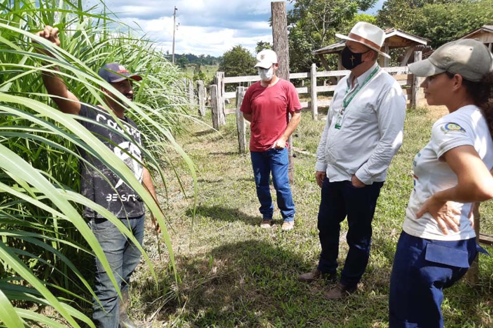 Projeto do Governo de Rondônia que cria auxílio-alimentação para servidores da Emater é aprovado na Assembleia Legislativa