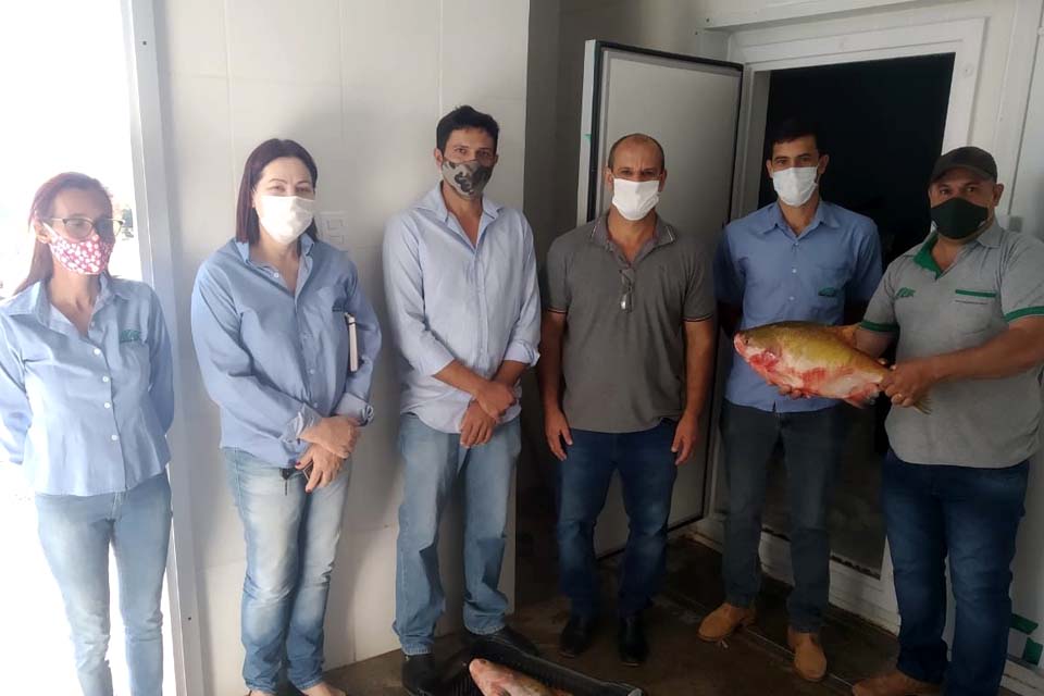 Agroindústria de pescado se desenvolve com fomento do Governo