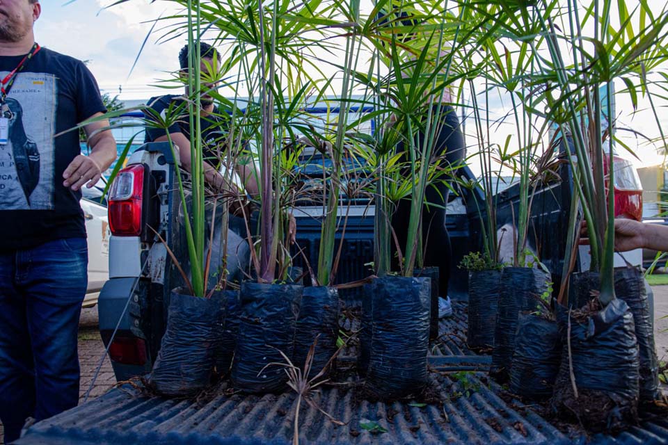 Prefeitura de Porto Velho vai plantar 25 mil árvores de diferentes espécies até o final do ano